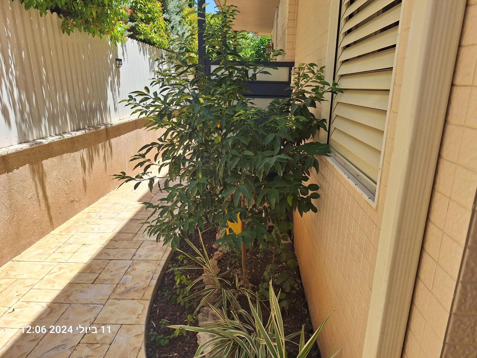 Hotel הבית הירוק Karmiel Zewnętrze zdjęcie